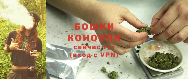 прущие крисы Богданович