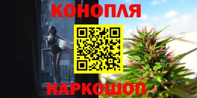 твердый Гатчина