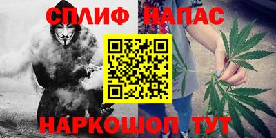 твердый Гатчина