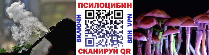 где купить   Гудермес  Псилоцибиновые грибы MAGIC MUSHROOMS 