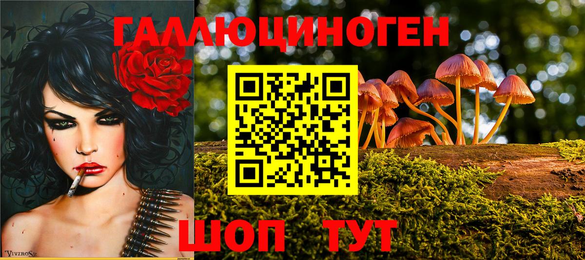 Гудермес  где купить наркоту  Псилоцибиновые грибы Magic Shrooms  Вход с VPN  Псилоцибиновые грибы мухоморы 