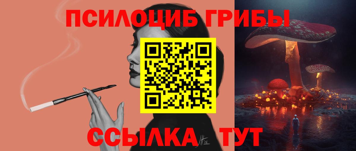 Псилоцибиновые грибы Cubensis Гудермес